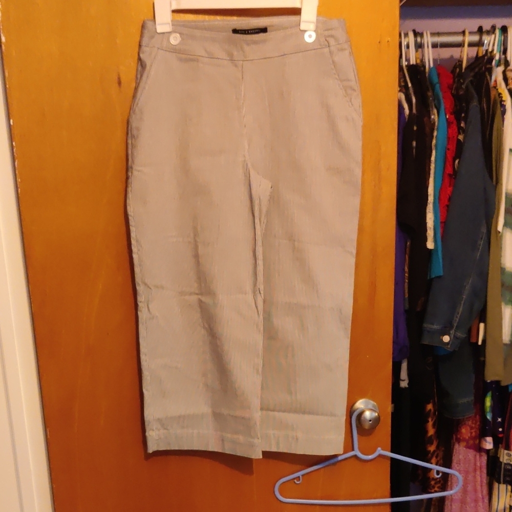 Zac & Rachel Striped Gray Pants